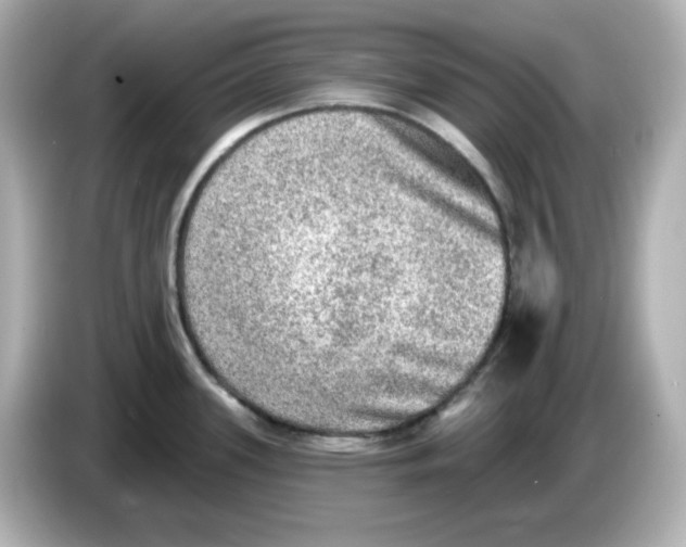 X0000085771339200704091346