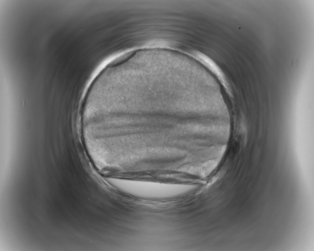 X0000085771340200704091346