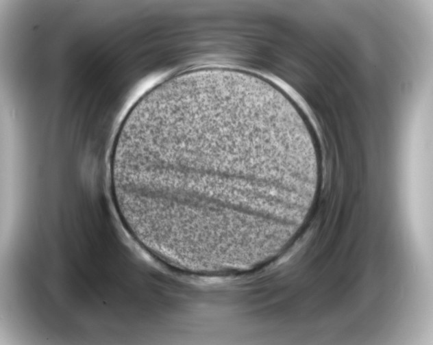 X0000085771341200704091346