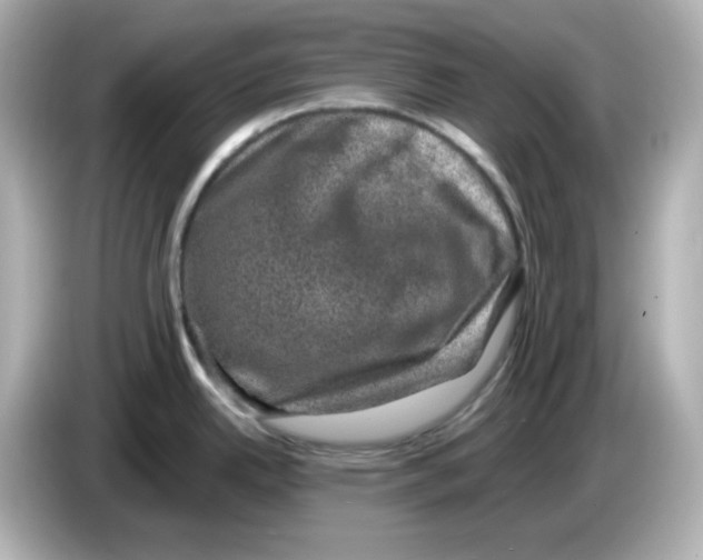 X0000085771342200704091346