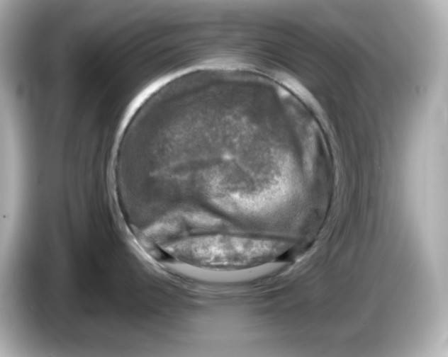 X0000085771344200704091346