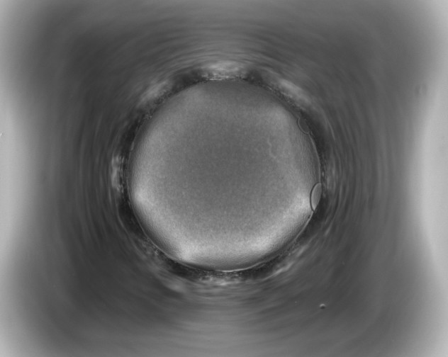 X0000085771346200704091345