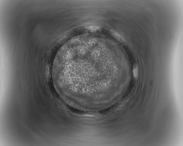 X0000085771347200704091345