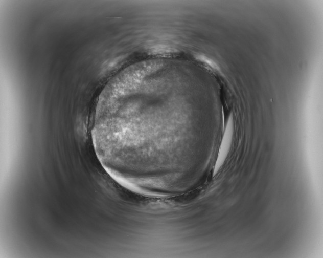 X0000085771348200704091345