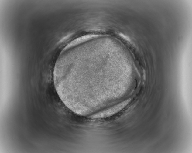 X0000085771350200704091345