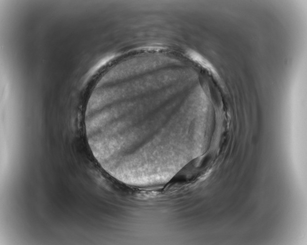 X0000085771352200704091345