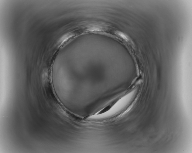 X0000085771353200704091345