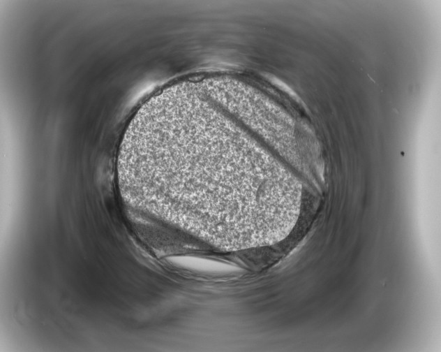 X0000085771355200704091345