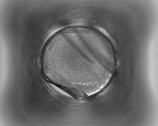 X0000085771356200704091345