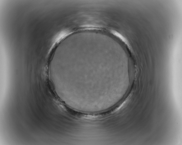 X0000085771357200704091345