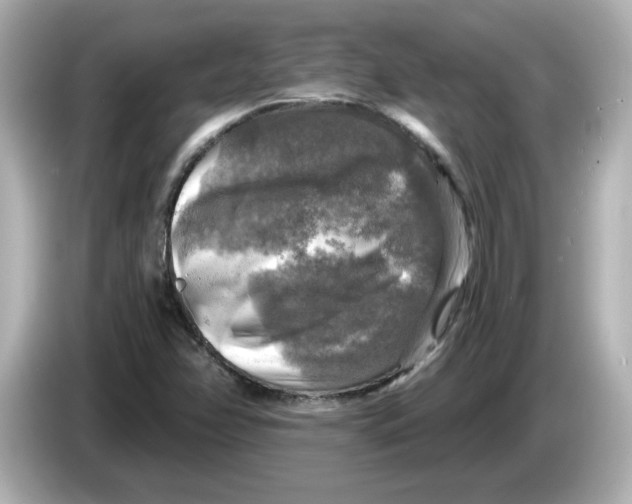 X0000085771358200704091345