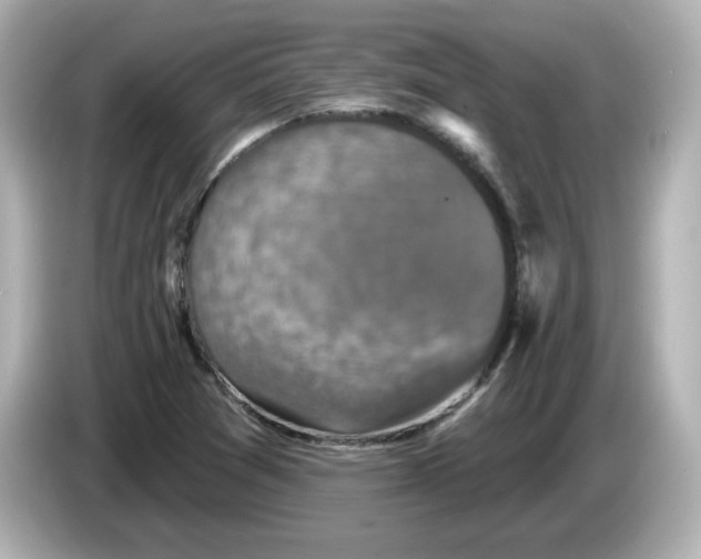 X0000085771361200704091345