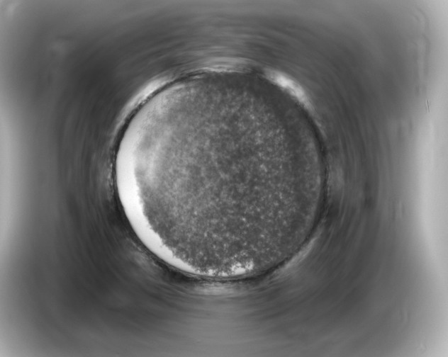 X0000085771362200704091345