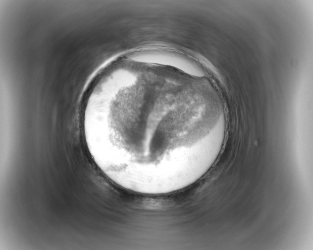 X0000085771364200704091345