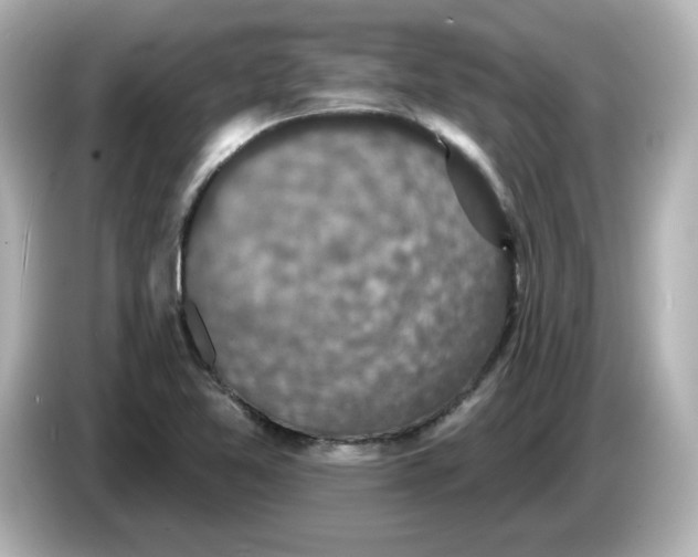 X0000085771365200704091345