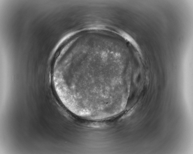 X0000085771368200704091345