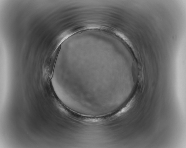 X0000085771369200704091345