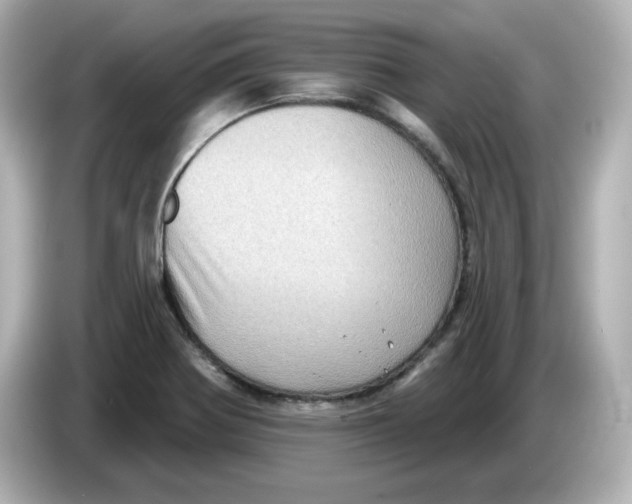 X0000085771370200704091345