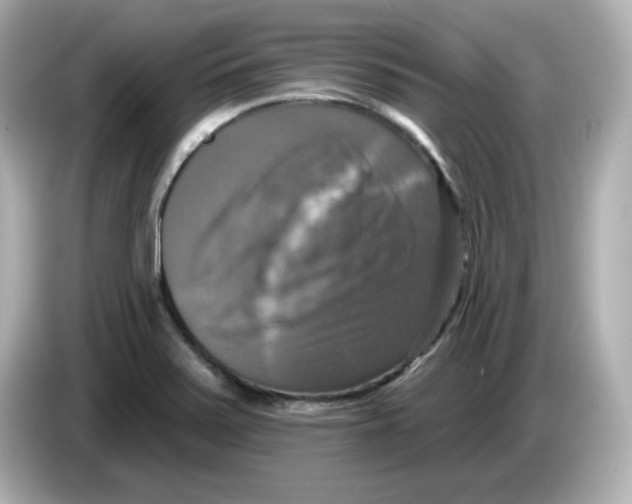 X0000085771371200704091345