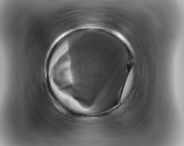 X0000085771372200704091345