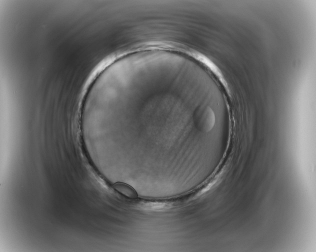 X0000085771373200704091345