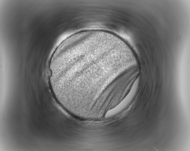 X0000085771374200704091345