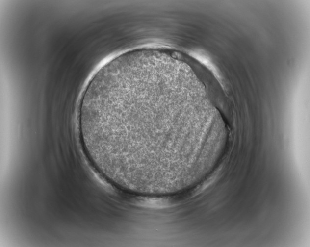 X0000085771375200704091345