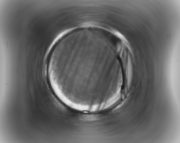 X0000085771376200704091345