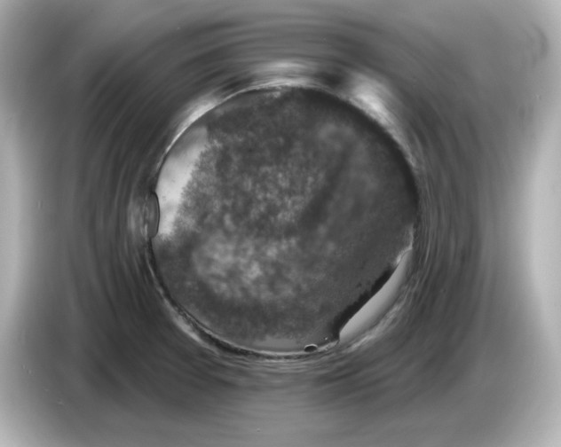 X0000085771377200704091345