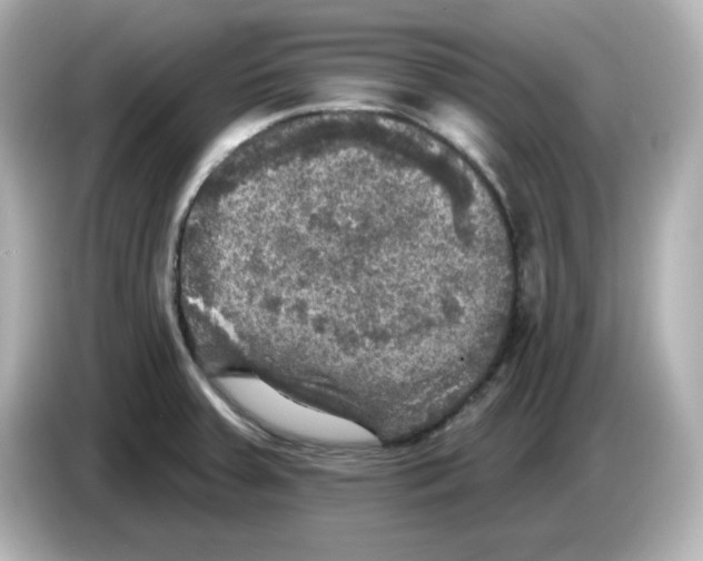 X0000085771379200704091345