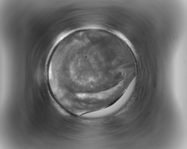 X0000085771380200704091345