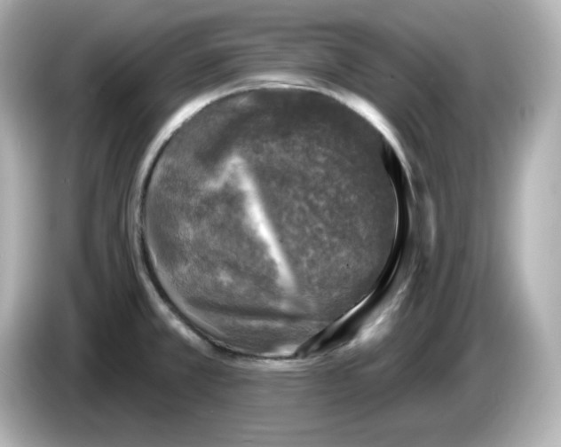 X0000085771381200704091345