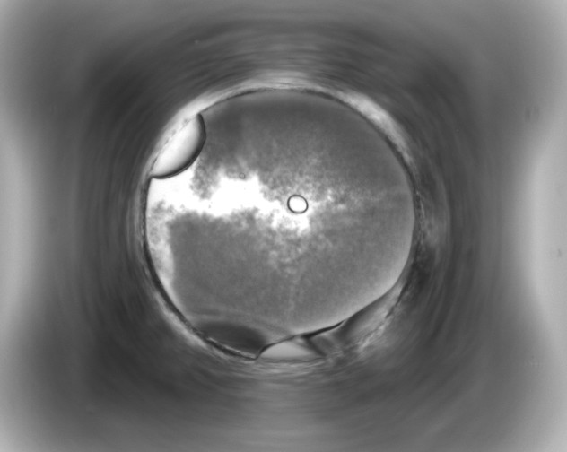 X0000085771382200704091345