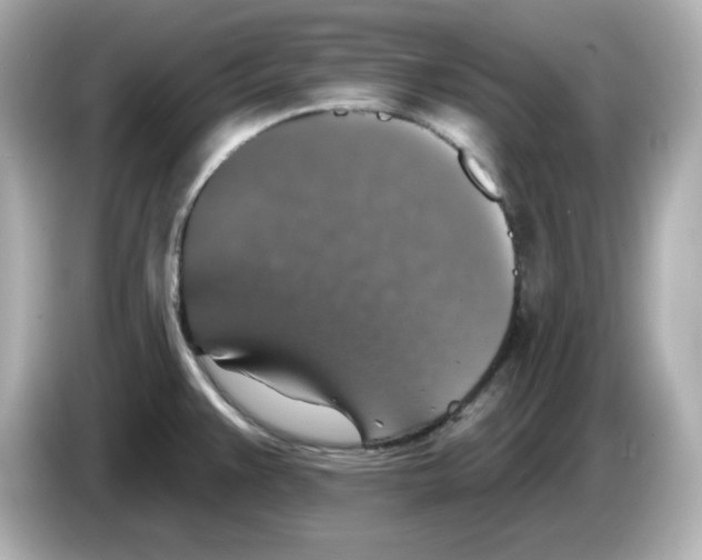 X0000085771383200704091345