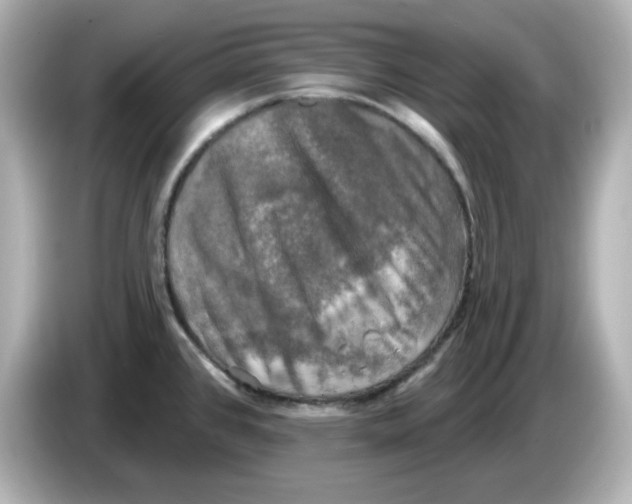 X0000085771384200704091345