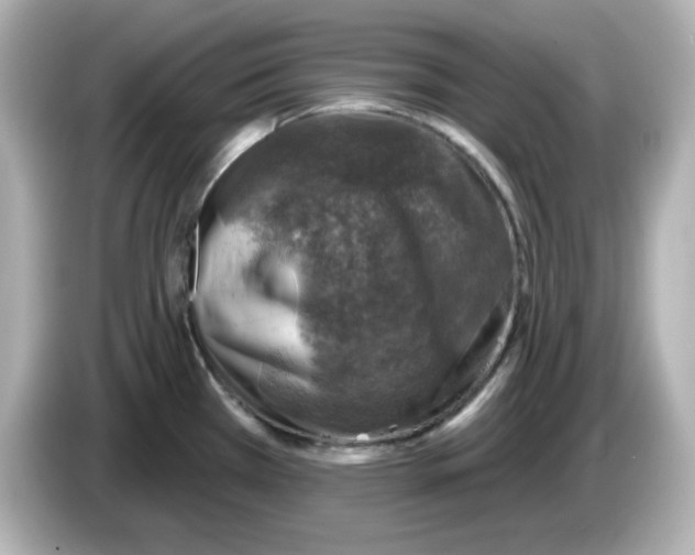 X0000085771385200704091345