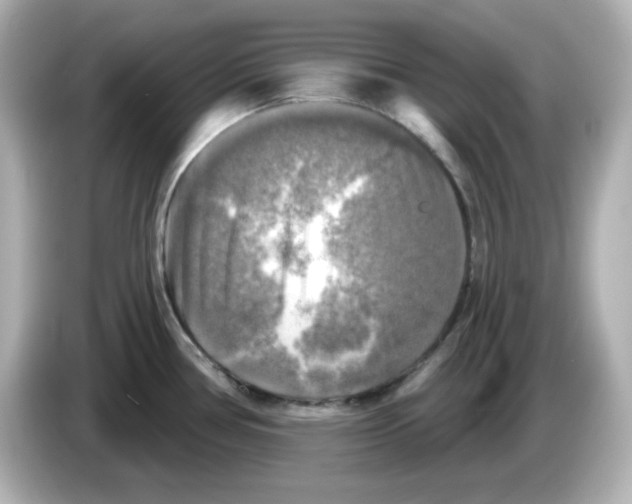 X0000085771386200704091345