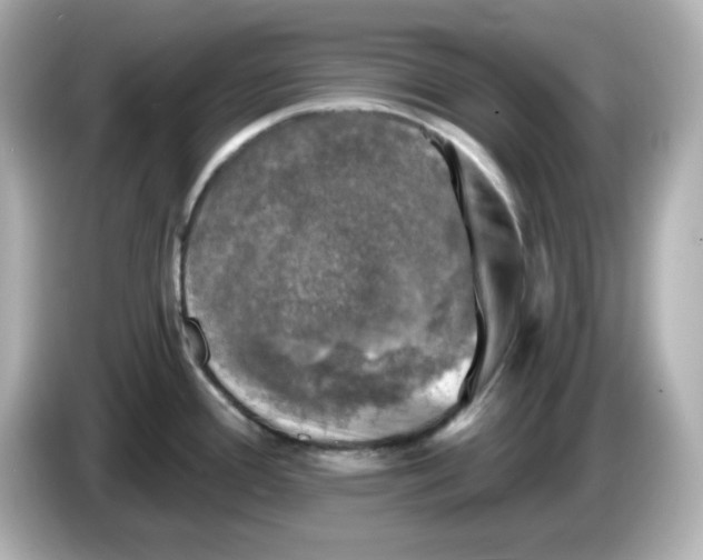 X0000085771388200704091345