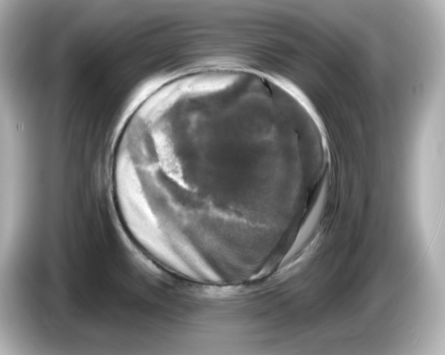 X0000085771389200704091345