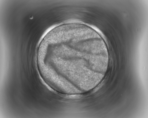 X0000085771390200704091345