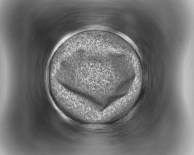 X0000085771391200704091345