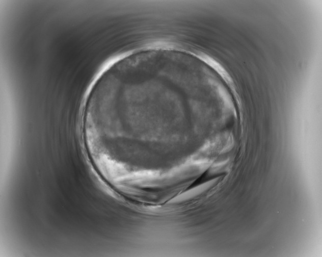 X0000085771392200704091345