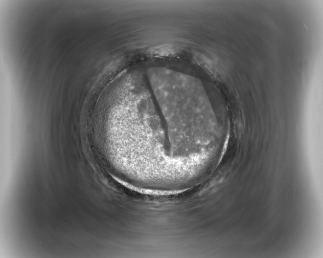 X0000085771393200704091344