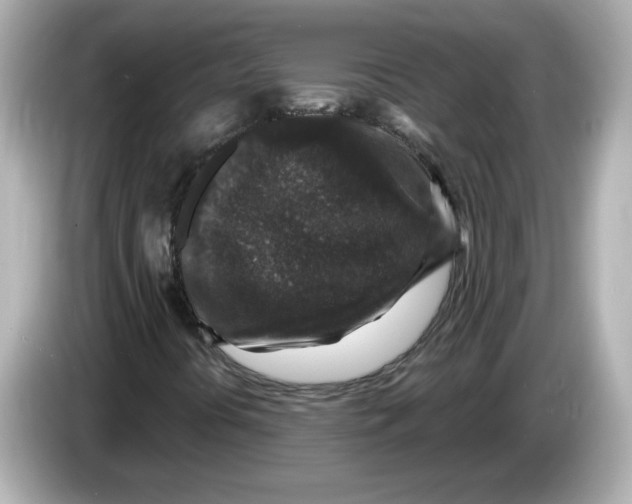 X0000085771394200704091344