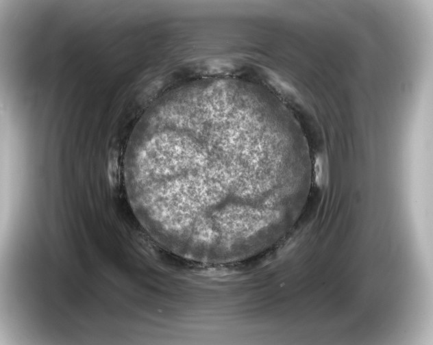 X0000085771395200704091344