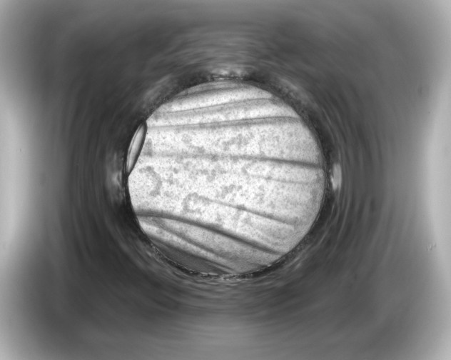 X0000085771396200704091344