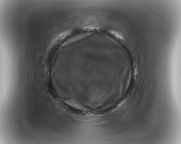 X0000085771398200704091344