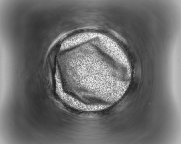 X0000085771400200704091344