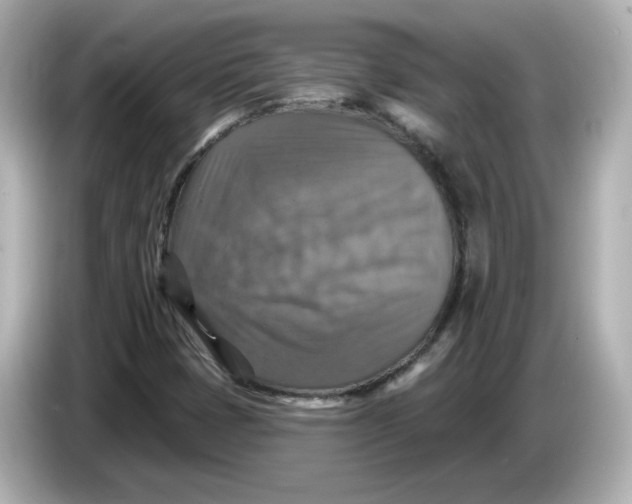 X0000085771401200704091344