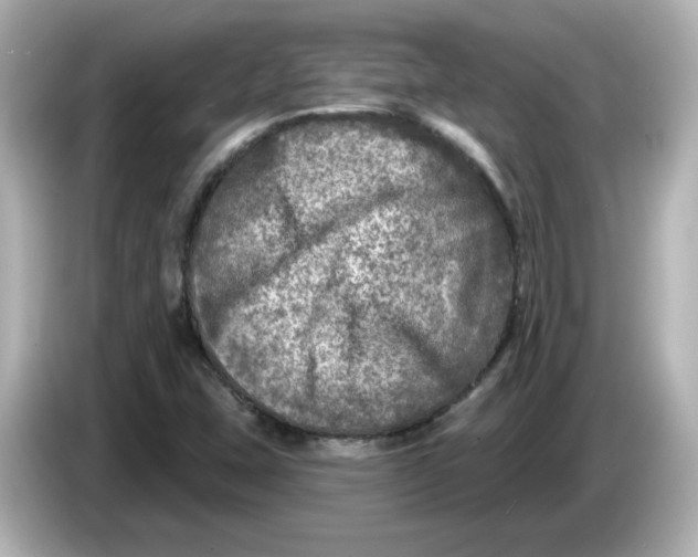 X0000085771407200704091344